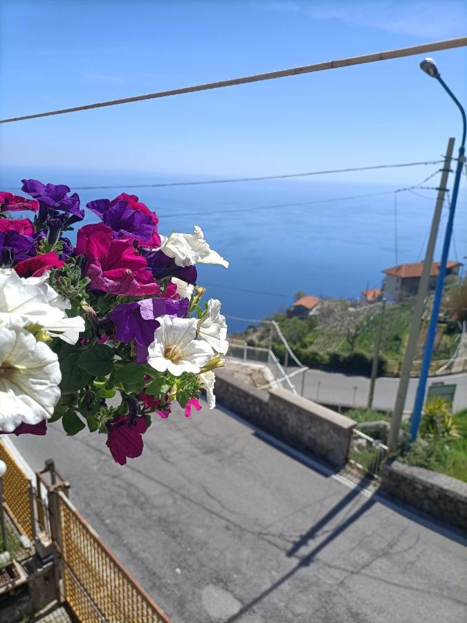 Casa Teranga Hotell Furore Eksteriør bilde